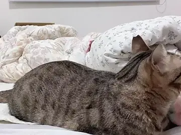 LHeartのStripchatでライブチャット